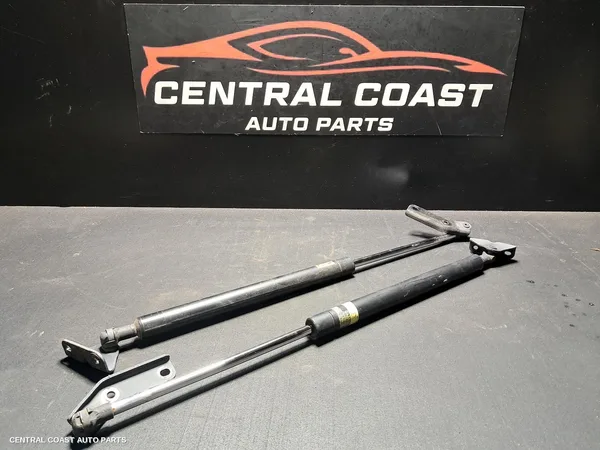 Hatch Strut