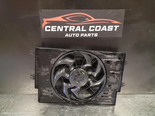 Fan