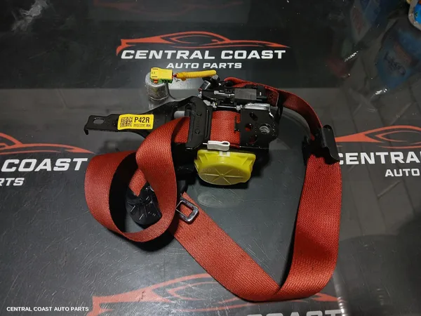 Seatbelt/Stalk
