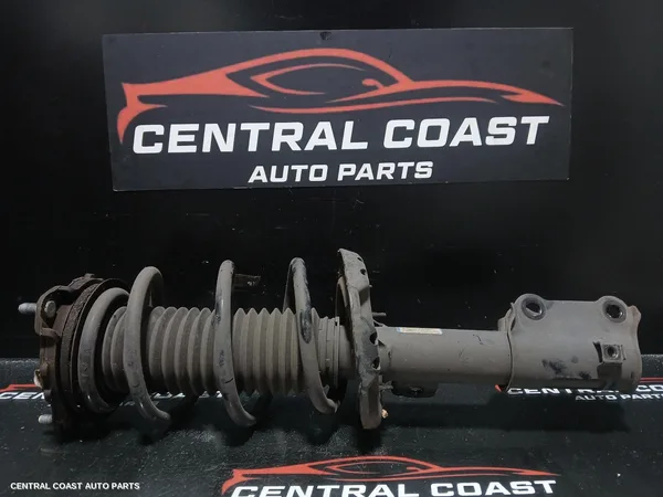 Left Front Strut