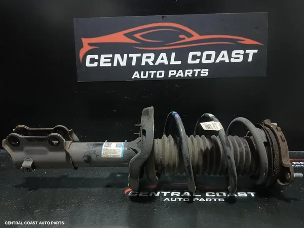 Right Front Strut