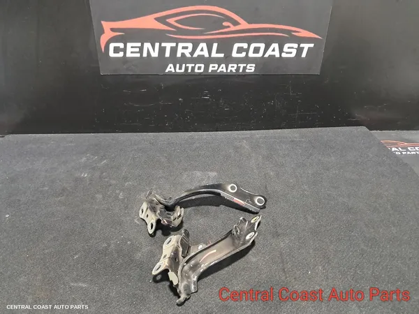 Bonnet Hinge/Strut