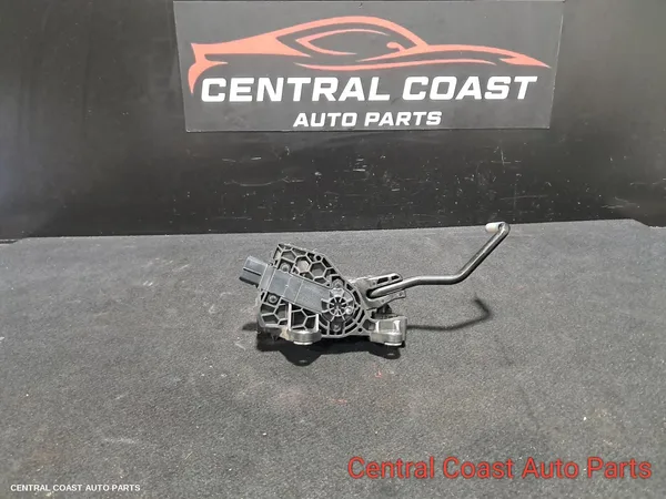 Pedal Assembly