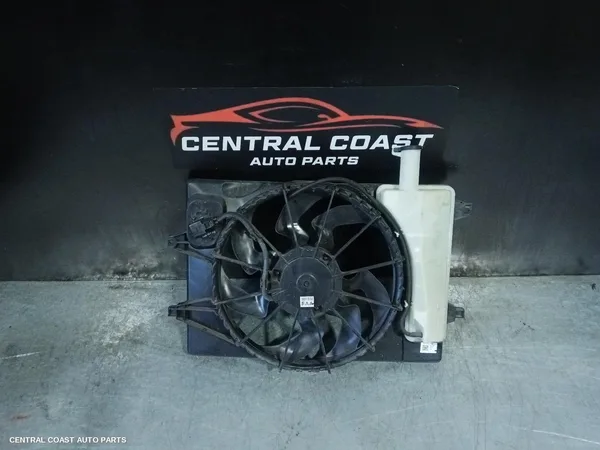 Fan
