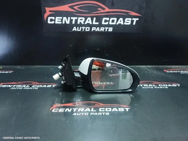 Right Door Mirror