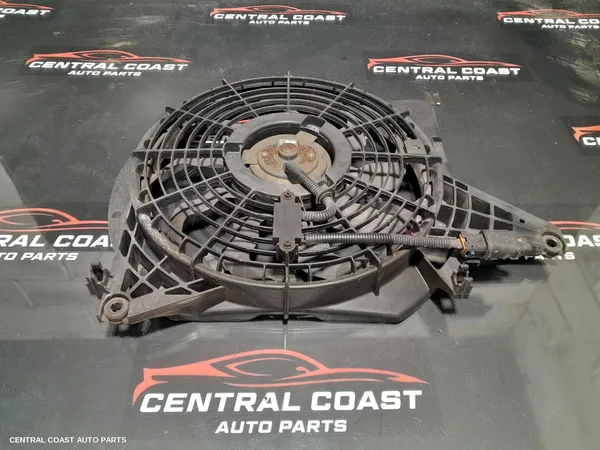 Fan