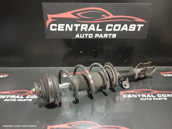 Left Front Strut