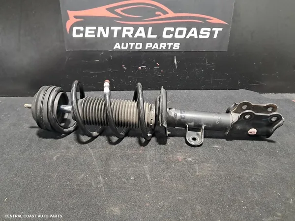Left Front Strut