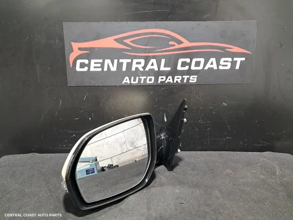Left Door Mirror