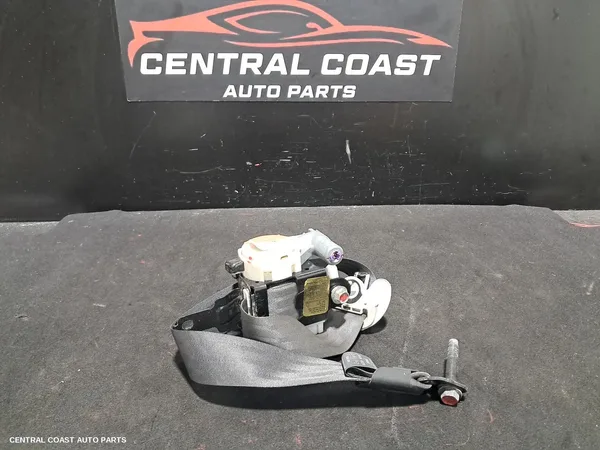 Seatbelt/Stalk