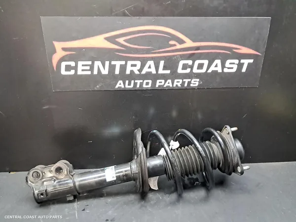 Left Front Strut