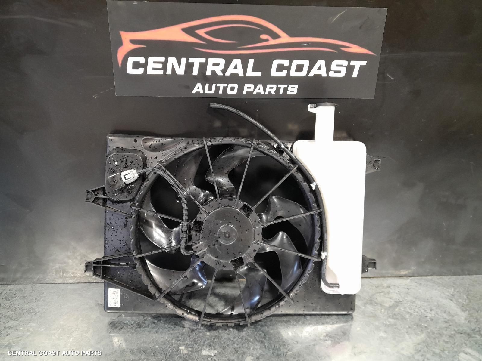 Fan