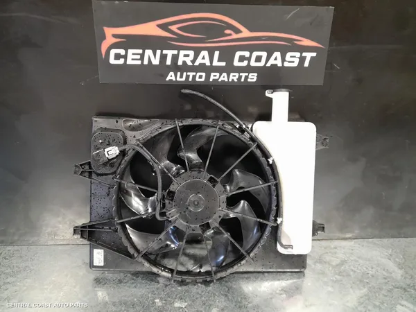 Fan