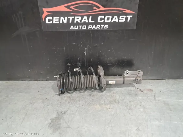 Left Front Strut