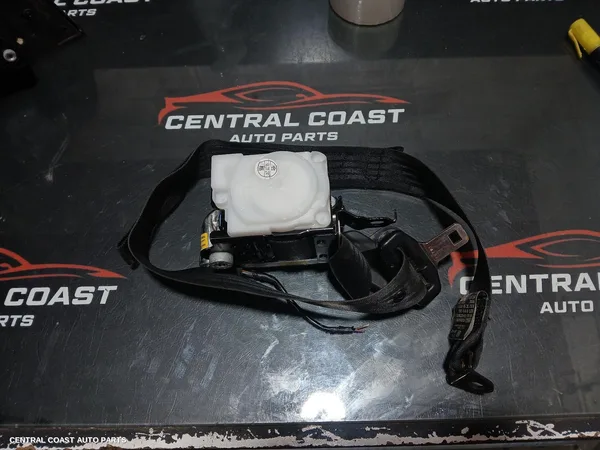 Seatbelt/Stalk