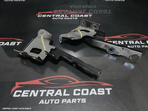 Bonnet Hinge/Strut