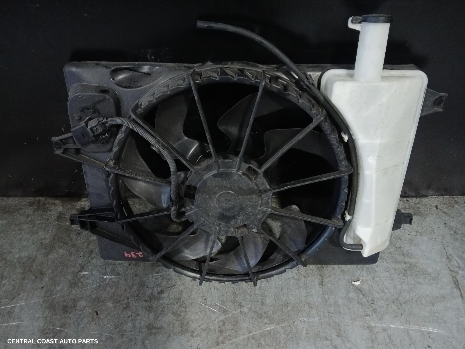 Fan