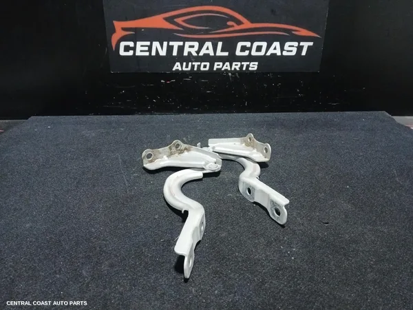 Bonnet Hinge/Strut