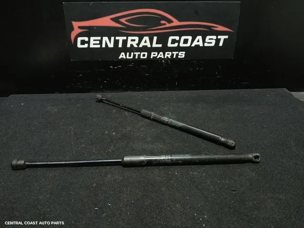 Hatch Strut