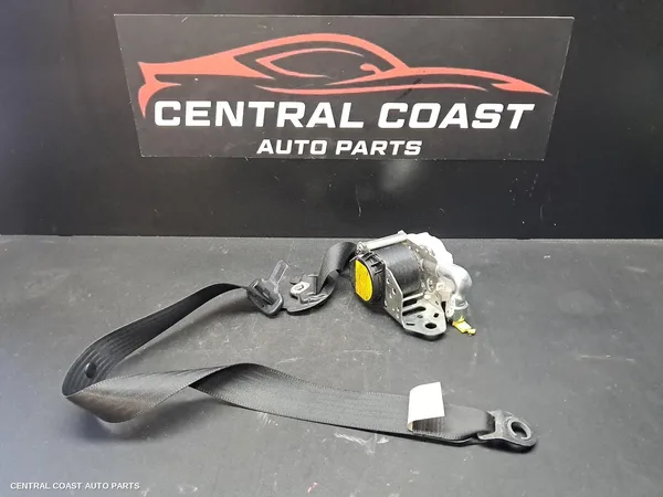 Seatbelt/Stalk