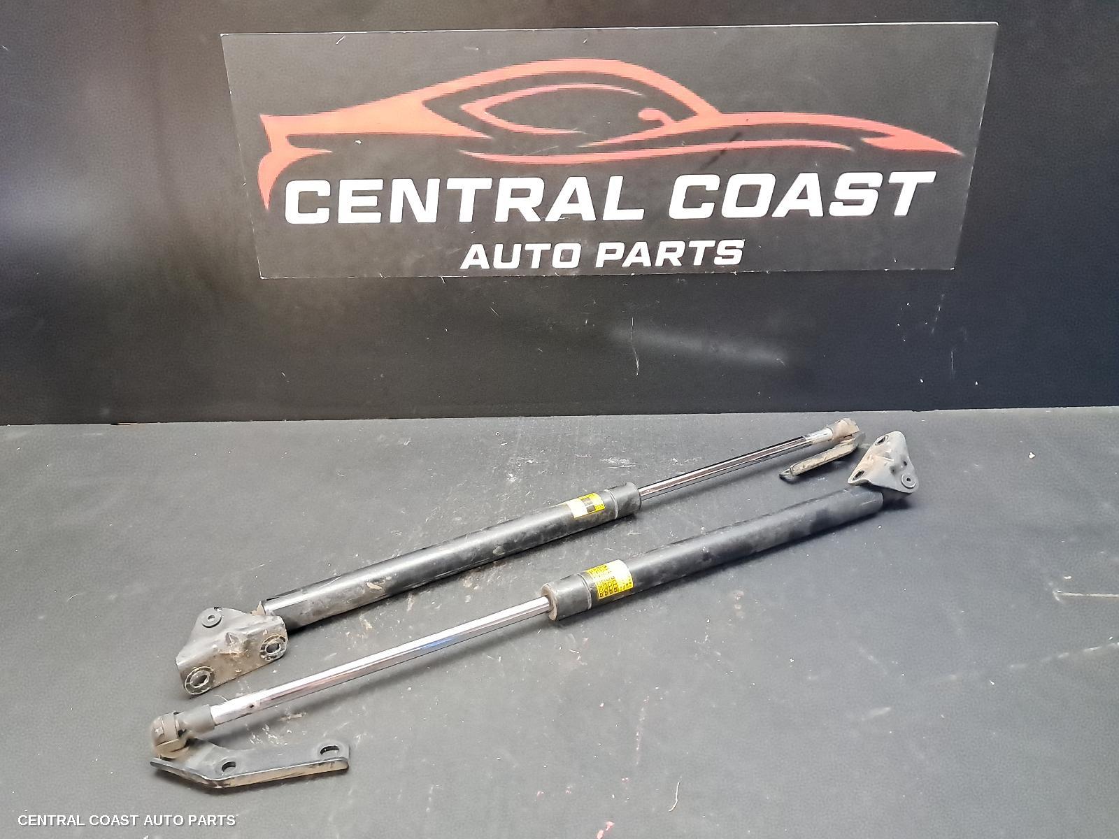 Hatch Strut