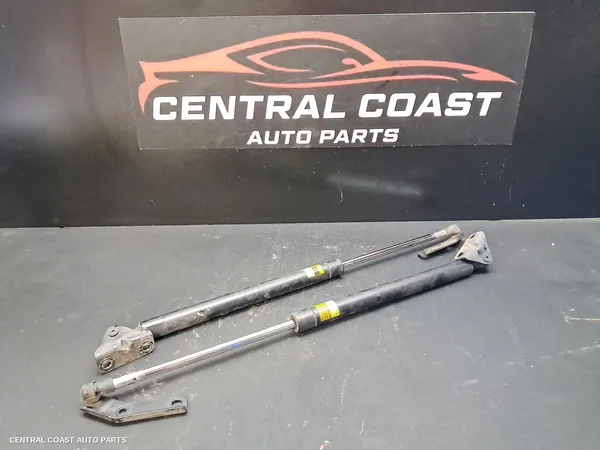 Hatch Strut