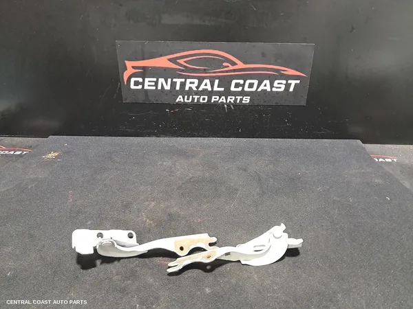 Bonnet Hinge/Strut