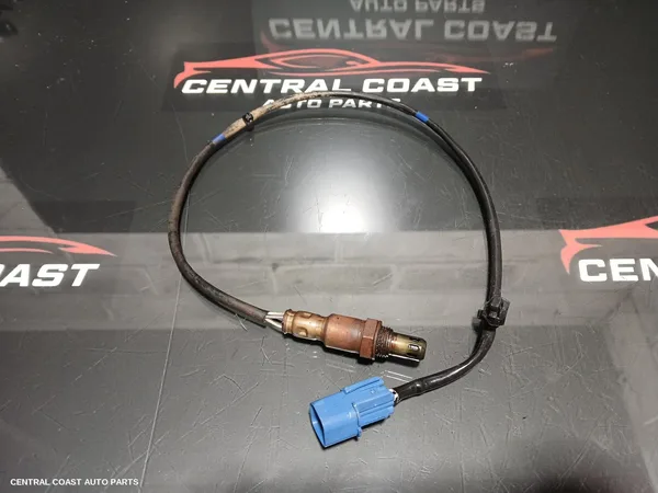Oxygen Sensor