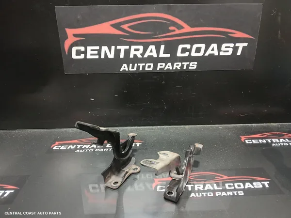 Bonnet Hinge/Strut