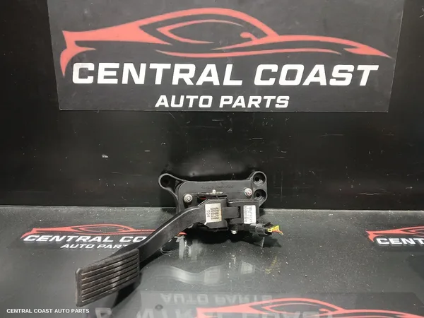 Pedal Assembly
