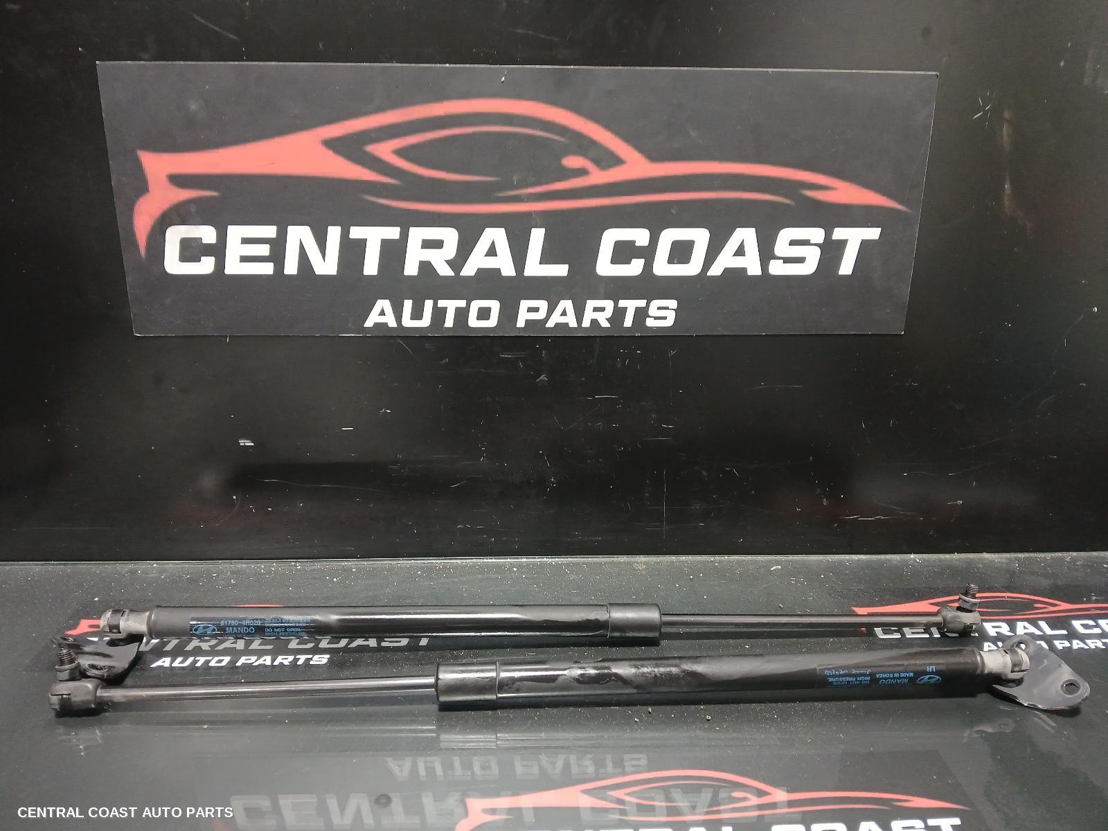 Hatch Strut