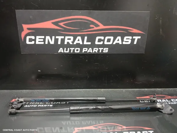 Hatch Strut