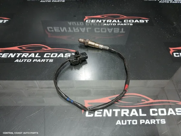 Oxygen Sensor
