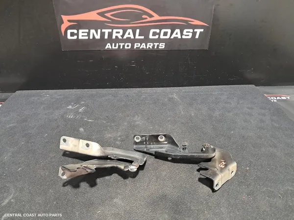Bonnet Hinge/Strut