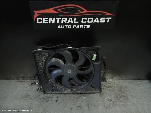 Fan