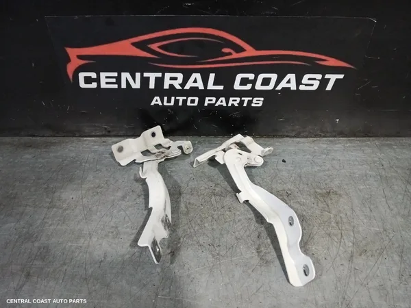 Bonnet Hinge/Strut