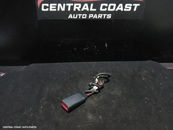 Seatbelt/Stalk