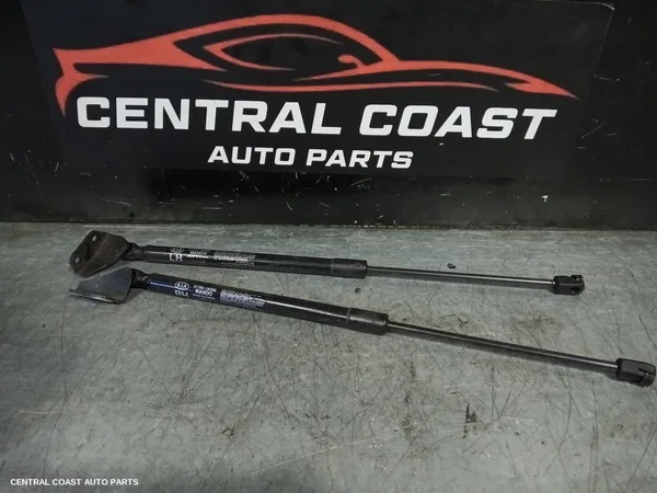 Bootlid/Tgate Hinge
