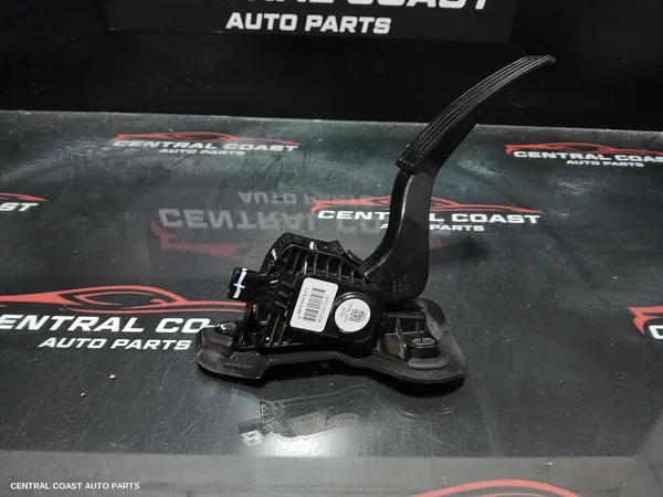 Pedal Assembly