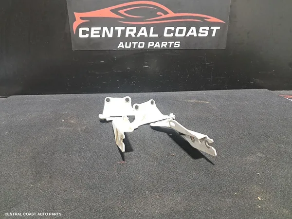 Bonnet Hinge/Strut