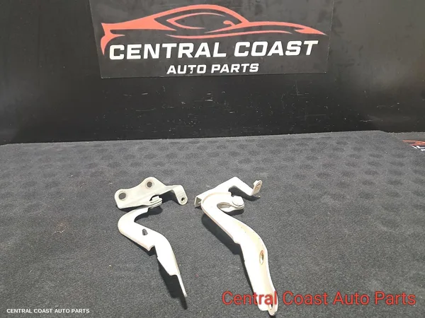 Bonnet Hinge/Strut