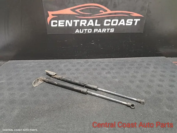 Hatch Strut