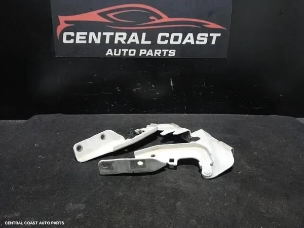 Bonnet Hinge/Strut
