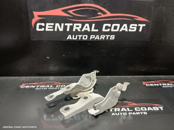 Bonnet Hinge/Strut