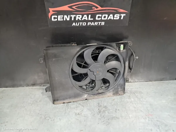 Fan