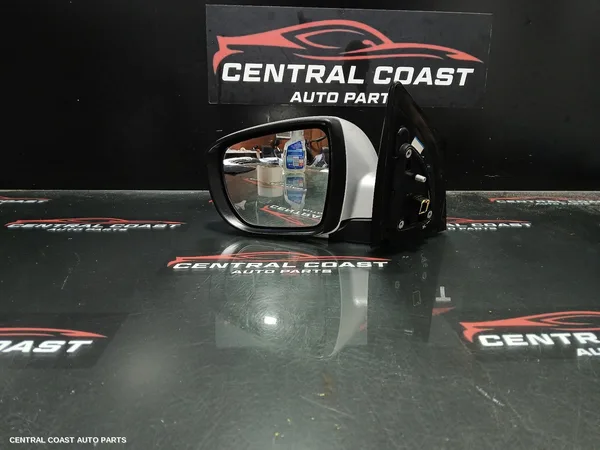 Left Door Mirror