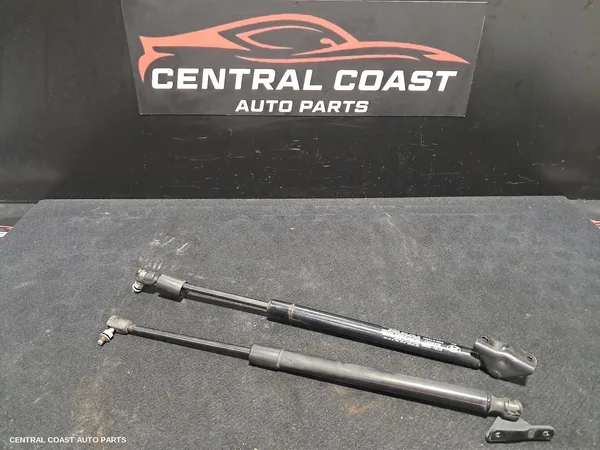 Hatch Strut