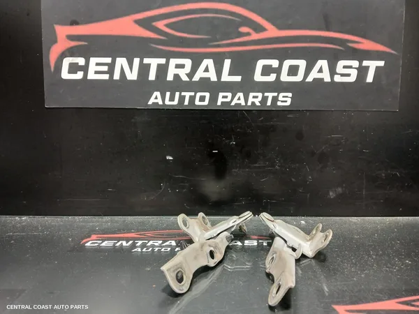 Bonnet Hinge/Strut