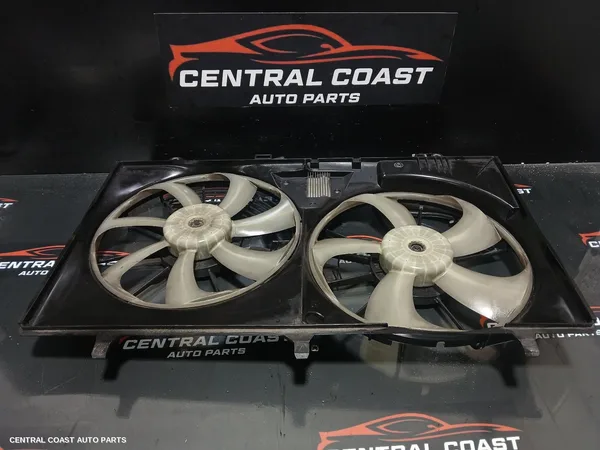Fan