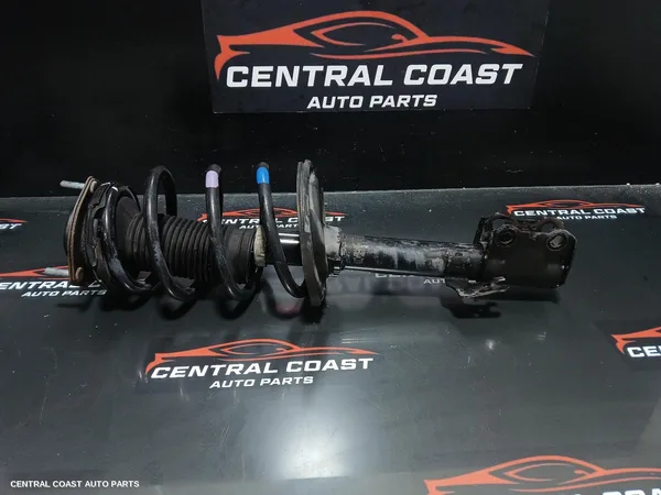 Left Front Strut